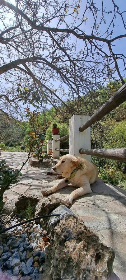 Molino Laroya Villa Bagian luar foto
